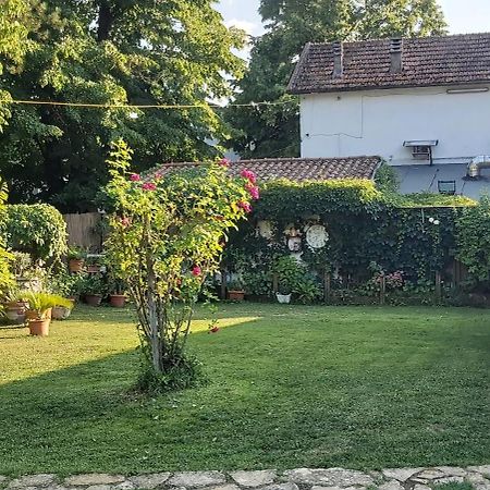 Guest House La Palazzina Rieti Eksteriør billede