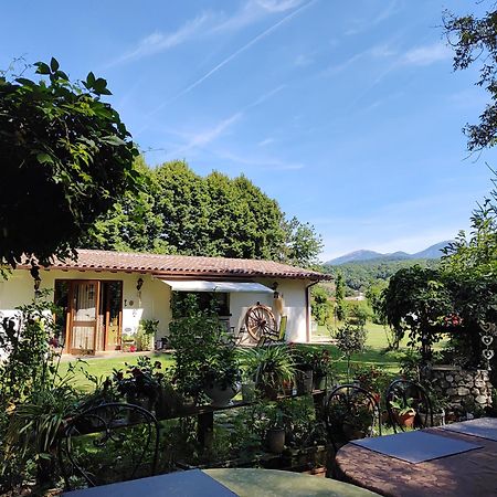 Guest House La Palazzina Rieti Eksteriør billede